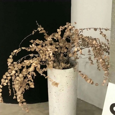 进贤福瑞交流群